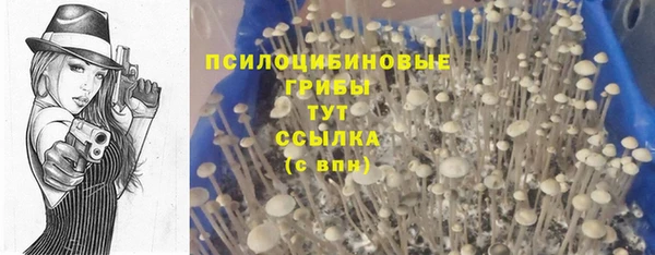 меф Армянск