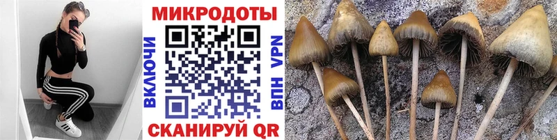 Псилоцибиновые грибы MAGIC MUSHROOMS  Лаишево 