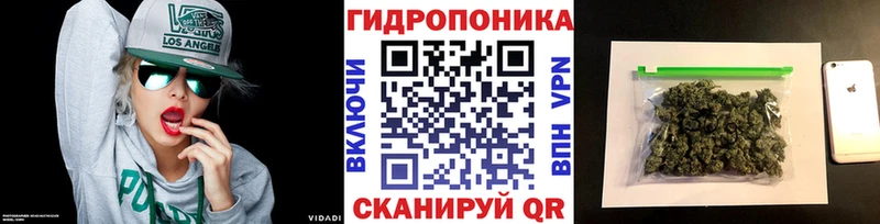 OMG зеркало Лаишево Шишки марихуана индика